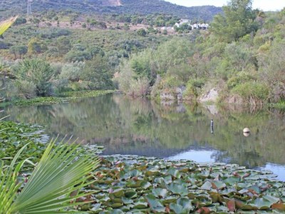 Holiday house Holiday Home in Bormes-les-Mimosas near Sea - Environment photo 37