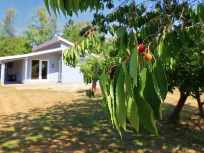 Holiday house 10 person holiday home in Dannemare-By Traum - Outdoor photo 28