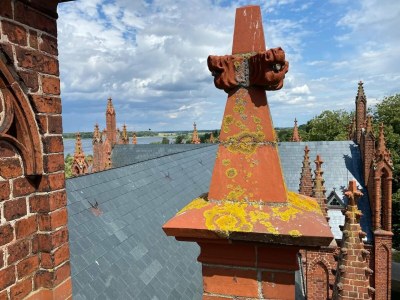 Apartment Ferienwohnungen, Malchow - Environment photo 37