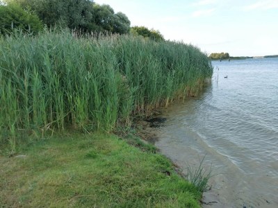 Apartment Ferienwohnungen, Malchow - Environment photo 43