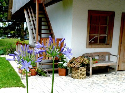 Holiday house Chalet in Feistritz near Petzen Ski Area - Outdoor photo 5