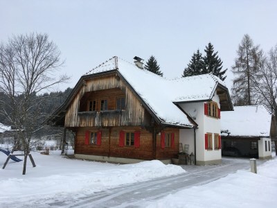 Holiday house Chalet in Feistritz near Petzen Ski Area - Outdoor photo 9