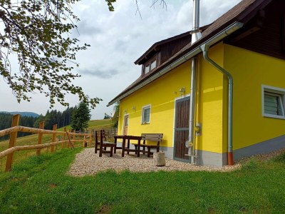Holiday house Ferienhaus in Prebl nahe Klippitztörl Skigebiet - Outdoor photo 4