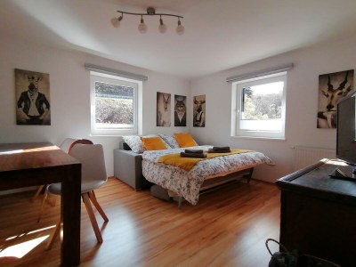 Apartment Wohnung in Dienten nahe Gabühel Skilift - Features photo 16