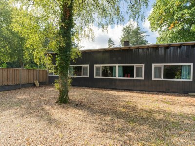 Holiday house Ferienhaus in Gelderland beim Schloss Bramel - Outdoor photo 3