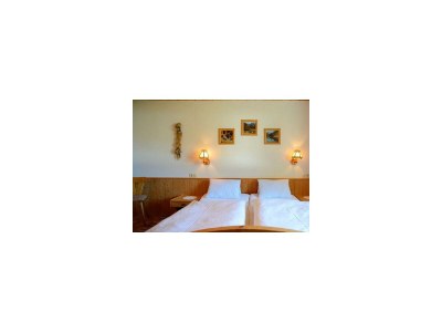 Apartment Ferienwohnung Talblick - Features photo 15