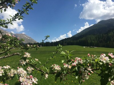 Holiday room Jöchelspitz - Outdoor photo 24