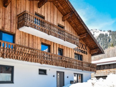 Apartment Wetterspitze in Holzgau - Apartment