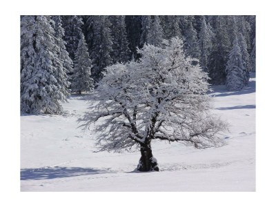 Holiday room Zimmer 2 - Outdoor photo 15