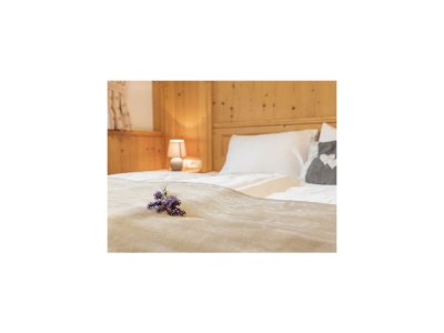 Holiday room Doppelzimmer Kachelofen, Südbalkon - Features photo 65