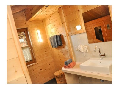 Apartment Chalet 1 - Features photo 19