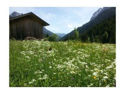 Apartment Appartement/Fewo, Dusche, WC, Balkon - Outdoor photo 22