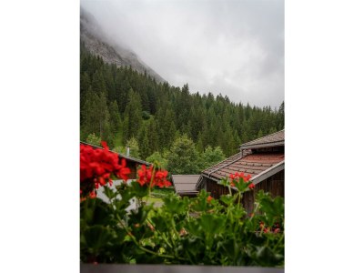Apartment Fewo Dremelspitze - Features photo 24