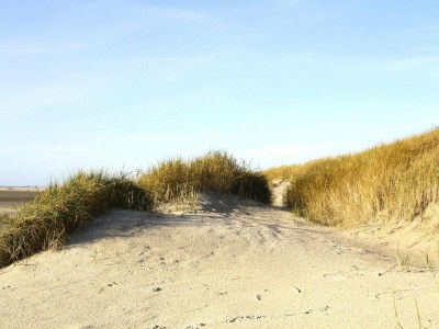 Apartment Ferienwohnung, St. Peter-Ording - Environment photo 11