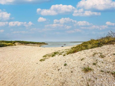 Holiday house Villa in Zeeland with Jacuzzi and Sauna - Environment photo 32