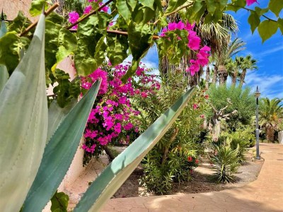 Apartment Apartment in Roquetas near Playa Serena - Outdoor photo 2