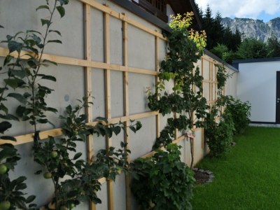 Apartment Die Bärige - Outdoor photo 18