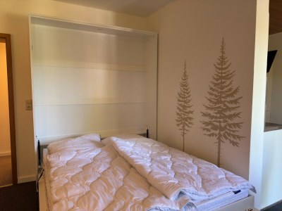 Apartment Geräumige Wohnung in Altenau mit Terrasse - Features photo 17