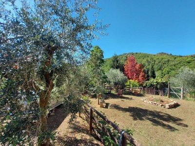 Holiday house Ferienhaus in der Toskana bei Lucca - Outdoor photo 8