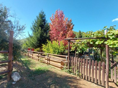 Holiday house Ferienhaus in der Toskana bei Lucca - Outdoor photo 12