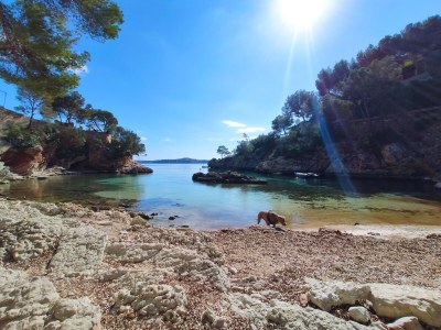 Holiday apartment A3013 Apartment Cala Fornells - Environment photo 26