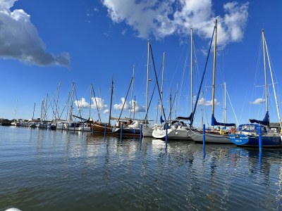 Holiday apartment Der Segler - Environment photo 16