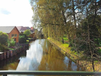 Holiday house Ferienhaus in Neukalen - Environment photo 12