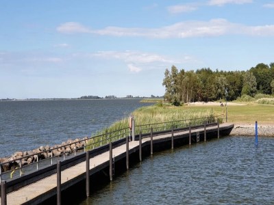 Holiday house Haus am Bodden mit Sauna - Environment photo 31