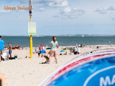 Holiday house Rivage 81 - Environment photo 36