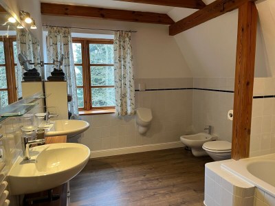 Holiday house Ferienhaus Monika im Wendorf im Bernstein Resort - Features photo 11