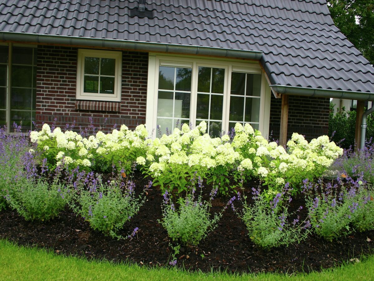 Holiday park Stilvoller Rückzugsort in Hellendoorn - Outdoor photo 2