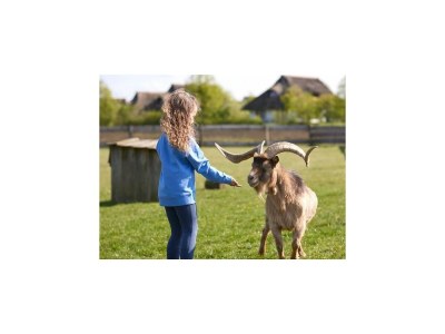 Holiday park Ferienhaus im Van der Valk Resort Linstow - Outdoor photo 22