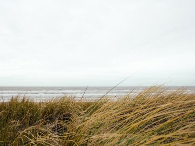 Holiday park Villa in Texel near De Koog Beach - Environment photo 14