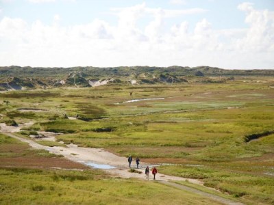 Holiday park Villa in Texel near De Koog Beach - Environment photo 26