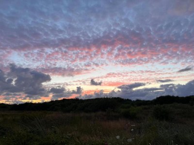 Holiday park Villa near Texel Beach with Private Sauna - Environment photo 23