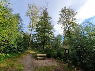 Holiday park Ferienhaus in Schierke for 6 Personen - Environment photo 29