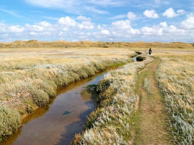Holiday park Villa in De Koog nahe Texel Strand - Environment photo 21