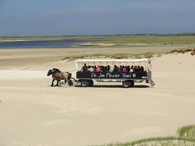 Holiday park Villa in De Koog nahe Texel Strand - Environment photo 30