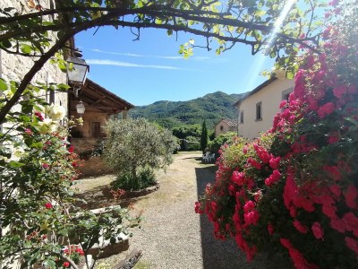Holiday park Tuscan Hideaway with Pool - Outdoor photo 7