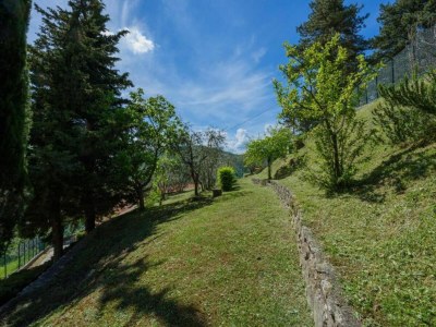 Holiday park Tuscan Hideaway with Pool - Environment photo 28