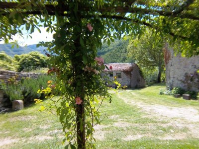 Holiday park Tuscan Hideaway with Pool - Outdoor photo 42