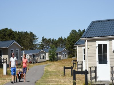 Holiday park Chalet in Texel with Private Sauna - Environment photo 20