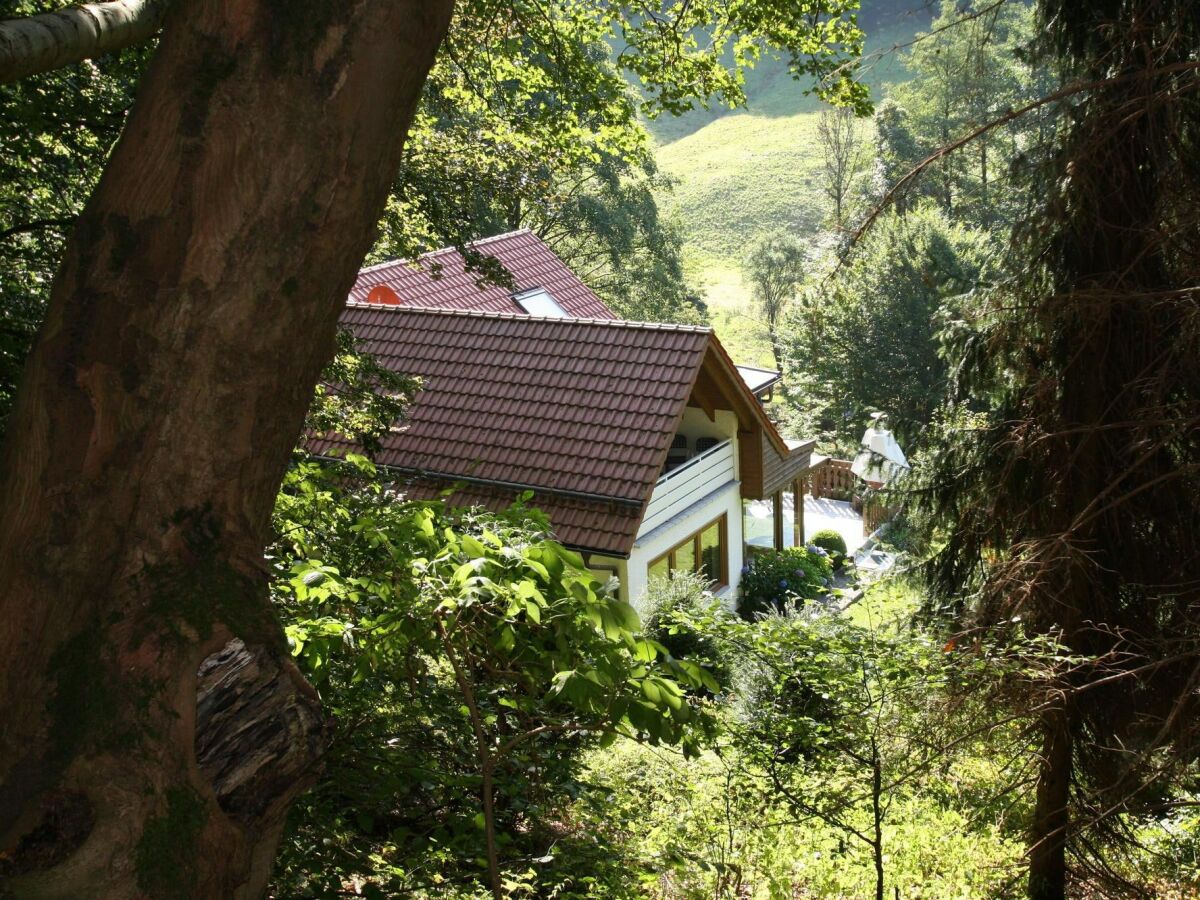Apartment Ferienwohnung Haus am Berg, Lonau - Outdoor photo 2