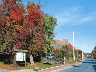Holiday park Ferienwohnung in Luckaitztal-Gosda mit Parkplatz - Outdoor photo 4