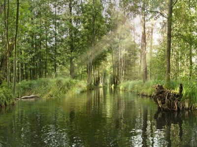 Holiday park Haus-Nr: DBS05095-CYA - Environment photo 36