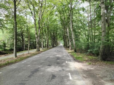 Holiday park House with a terrace near Langweerder Wielen - Environment photo 30