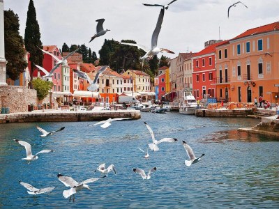 Holiday park Wohnung in Veli Losinj am Strand - Environment photo 26