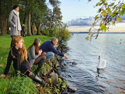 Holiday house Reihenhäuser im Schlosspark Bad Saarow - Environment photo 11