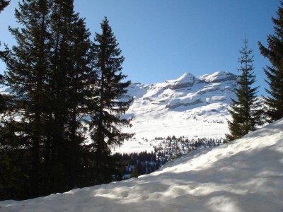 Holiday park Apartment in Flaine with Ski Lift Access - Environment photo 23