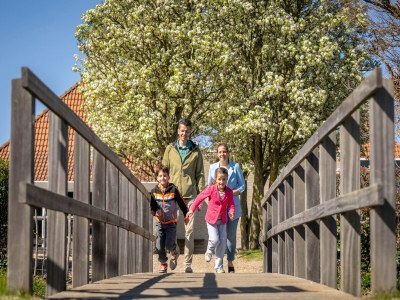 Holiday park Bungalow in Zeeland near the Beach - Outdoor photo 23